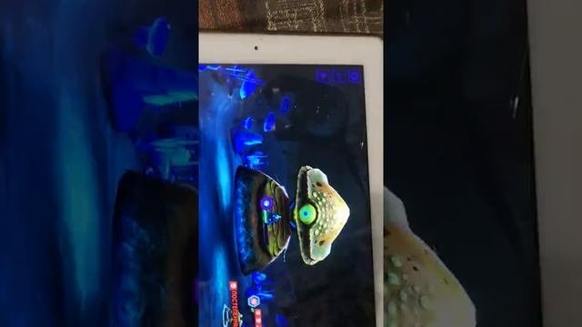 Игра Черепашки Ниндзя 2