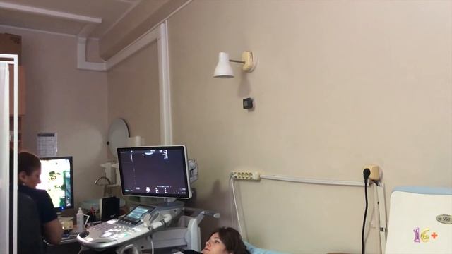 -16 дней до родов. УЗИ перед родами смотреть онлайн