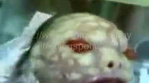 Miraculous!!!!baby snake,ребёнок змея(слабонервным не смотреть)