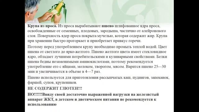 Прямая трансляция пользователя Ассоциация нутрициологов и диетологов Казахстана смотреть онлайн