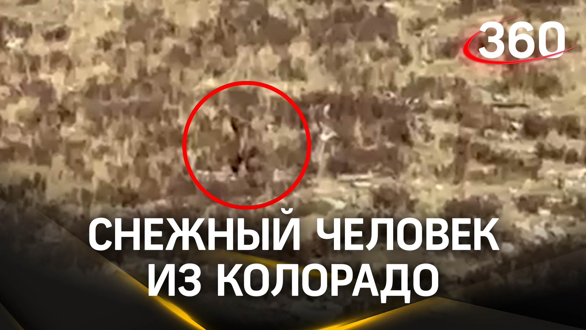 Снежный человек попал на видео: странные кадры из Колорадо