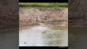 Доливаем в пруд воду из скважины