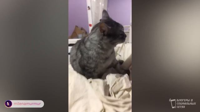 Андрей Мартыненко подарил кроссовки Милены своей сестре смотреть онлайн