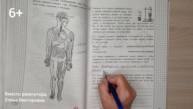 Как называется профессия человека изображенного на рисунке впр 3 класс окружающий мир