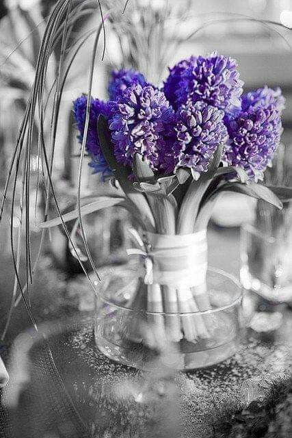 Пожелание Доброго Дня ?Чудесного Настроения смотреть онлайн