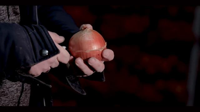 БЕЙО УКРАЇНА. ТОВ "Агро Макс" зберігання цибулі, 19.02.2021. смотреть онлайн