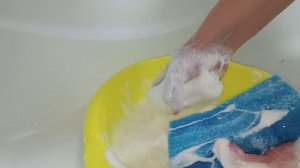 Губка... Мыло... Много пены...