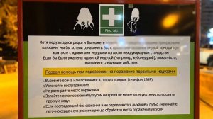 Медузы в Таиланде. Что делать при ожоге кубомедузы