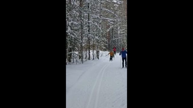 Коньки, горные лыжи, зоопарк. смотреть онлайн