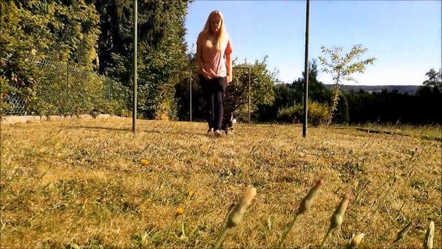 Порода ПРАЖСКИЙ КРЫСАРИК! Что нужно знать о породе, прежде чем завести щенка! смотреть онлайн