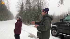 Бесплатная ёлка из леса | Спилить нельзя рубить можно | Праздник к нам приходит