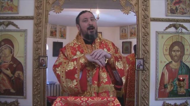 Слово митрополита Савватия в 6-ю неделю по Пасхе, о слепом, с. Петропаловка смотреть онлайн