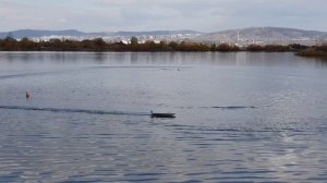 Кино с закрытия сезона , другой ракурс