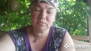 Чуть не сгорели. Чем обработать коров и сараи от мух и овода.