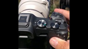 EOS R8 is Overheating in Stills Mode (ie, Just When Taking Pictures): A First Report From the Field