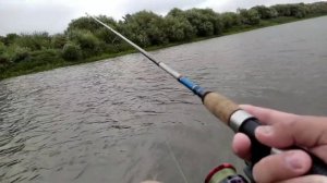 Рыбалка 23августа ловля щуки на спиннинг на джиг река Ница короткий обзор дождливая погода