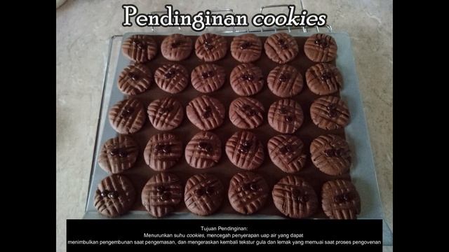 Ujian Praktikum TP Nabati_Baked by Love #chococookies смотреть онлайн