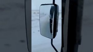 Кот дальнобойщик