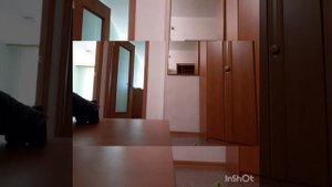 Золотистый ретривер остался один дома