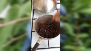 Лимонад из жимолости!Очень полезный напиток.