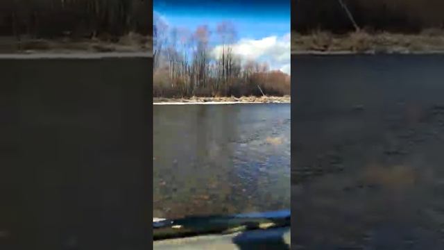 катаемся по речке Горин в поисках хариуса. смотреть онлайн