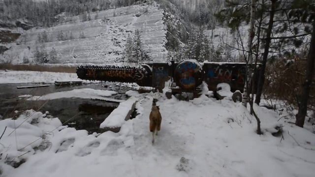 Шабровский карьер смотреть онлайн