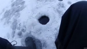 Ловля Плотвы зимой + Проверка эхолота Практик 7 WiFi.