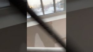 Строительный бинт