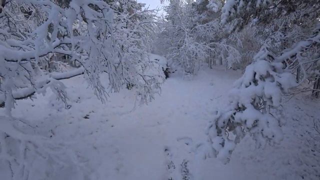 Купил BRP - значит терпи или расслабся ) смотреть онлайн