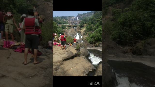 dudhsagar waterfall🏊# travel story# goa🏖️ ❤️