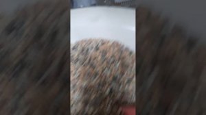 грунт для кактусов  . составляем правильно