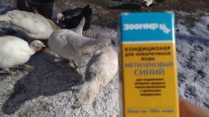 Метиленовый синий для сельхоз птицы