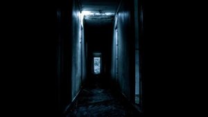 Объекты SCP Российского филиала класса Кетер | SCP-1062-RU - «Мотылёк» | Запертое в комнате SCP-105