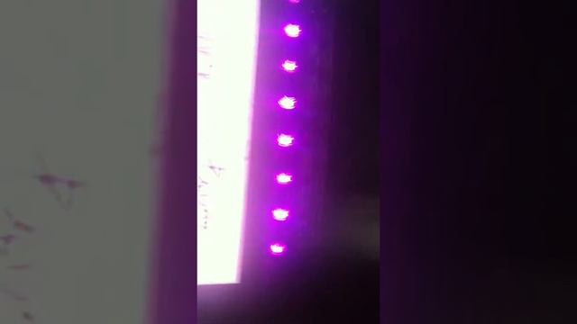 Найтивыход-Варвара