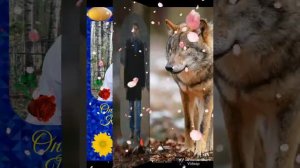 ШЕДЕВР, А НЕ ПЕСНЯ. ИОНЕЛ ИСТРАТИ "КТО Я ЕСТЬ"
