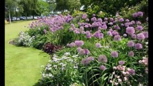 красивые цветники на даче фото