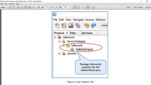 Grade XII Information Technology (Code 802) Unit 3 Java Programming Part 1 смотреть онлайн
