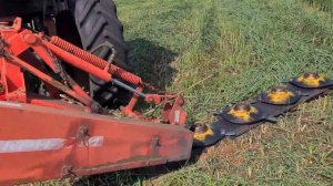 косим сено, Мтз82 BELLON D7L и т28 крн 2.1. сенокос 2023