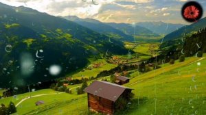 АЙОЛ ЕРИНИ ЖИНСИЙ АЗОСИНИ КУЛИ БИЛАН КОНДИРСА БУЛАДИМИ