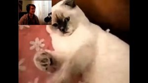 Реакция на Смертельные файлы 41: OBR3CH3NIE, CasPeЯ.Avi, dr. folly и aruap.vhs