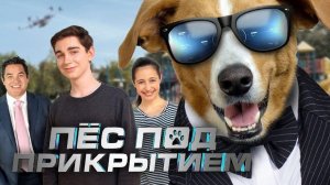 Псы под прикрытием - Русский трейлер (HD)