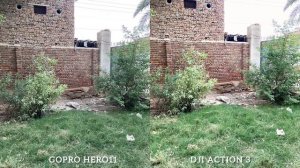 GO PRO Hero 11 VS DJI Action 3 Camera Test Comparison