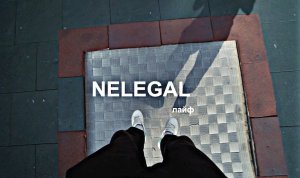 NELEGAL | LIFE VLOG