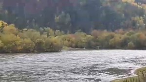 Прогресс 2м водомет