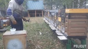 Обработка сублиматором,щавелевой кислотой.