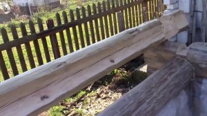 Укладка бревна  с верхней чашей. Сруб своими руками. Часть 10/2.