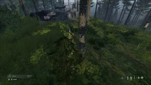 Film - DAYZ PS5 - 2021_1_9_18_8_40*