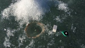 Карась Бурино 02.04