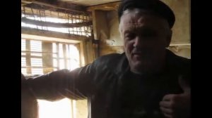 Спортивные голуби Коркино