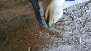 находки на старой усадьбе  копаем по черному, поиск монет, поиск монет, tx-850, коп 2021, находки